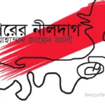 পাতালের লৌকিক সাঁতার  ।।  মেকদাদ মেঘ
