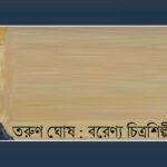 ঈশ্বরকণার নামে এক বাঙালি বিজ্ঞানী