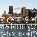 স্ক্রল করে দেখা ৪ || মাসুদার রহমান