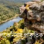 হ্যাটফিল্ড জামে মসজিদের ফ্যামিলি ফান ডে