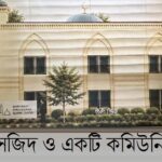 যেমন যৌবনের ঢেউ || শেখ লুৎফর