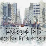 সুলিভান সহোদর : বাংলাদেশের দলে দুই ভাই, যুক্তরাষ্ট্রের দলে দুই ভাই